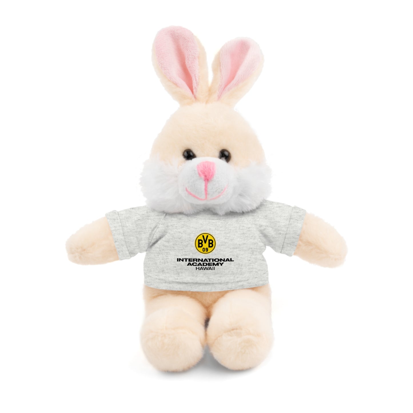 Customizable Stuffed Animal - International Academy Bear