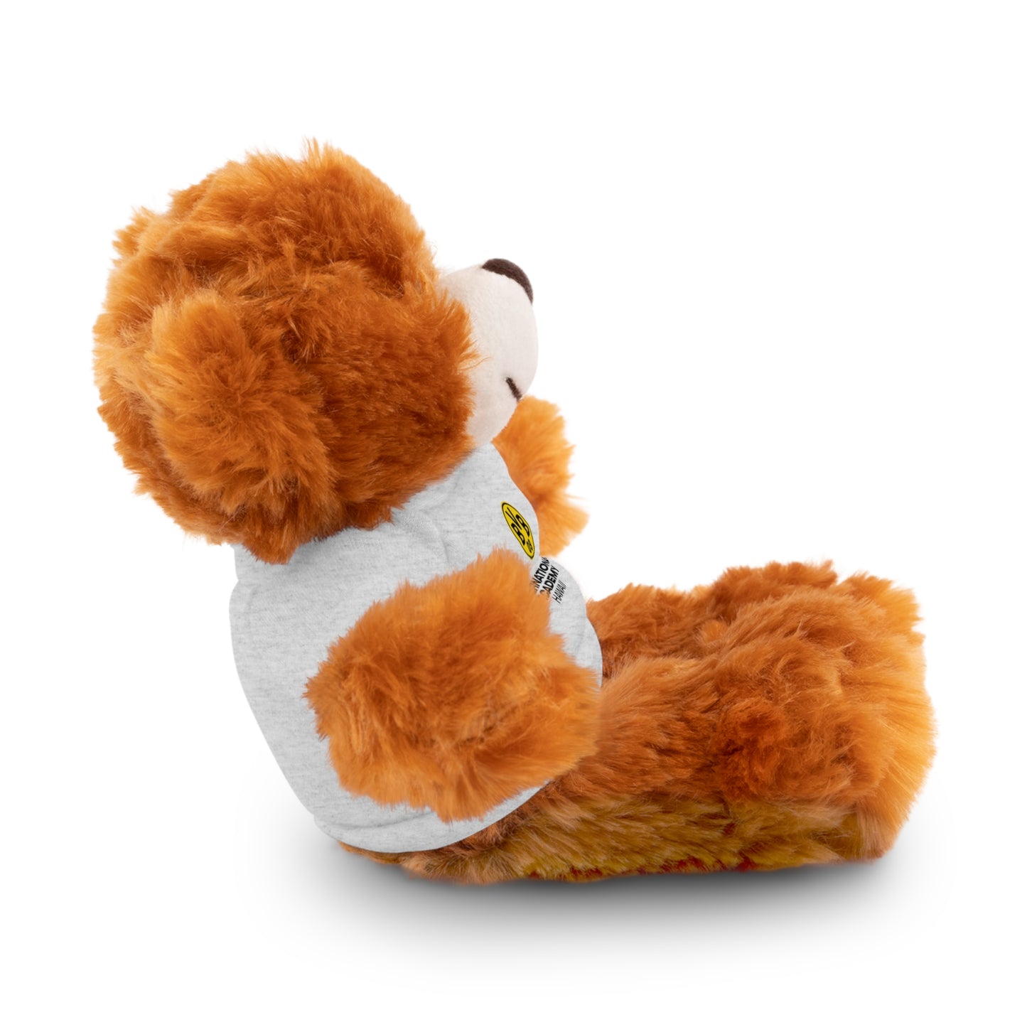 Customizable Stuffed Animal - International Academy Bear