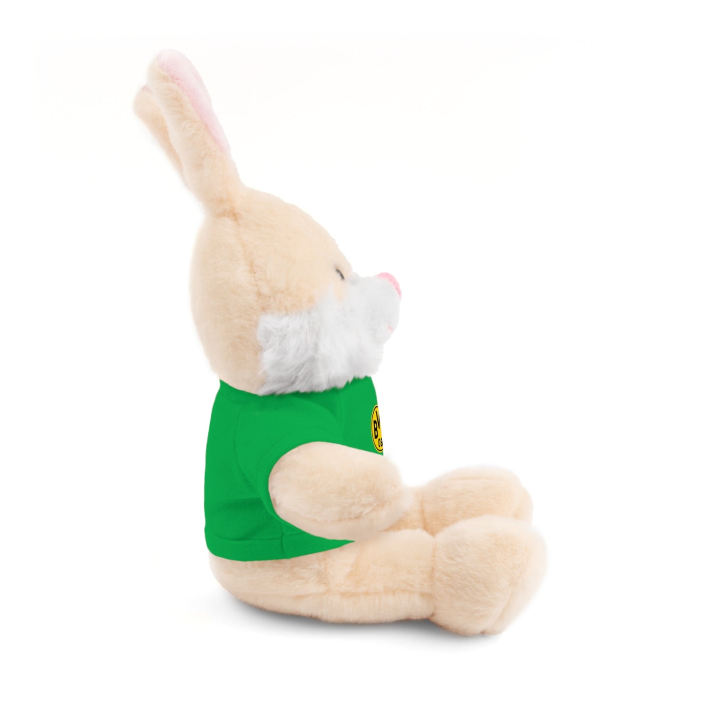 Customizable Stuffed Animal - International Academy Bear