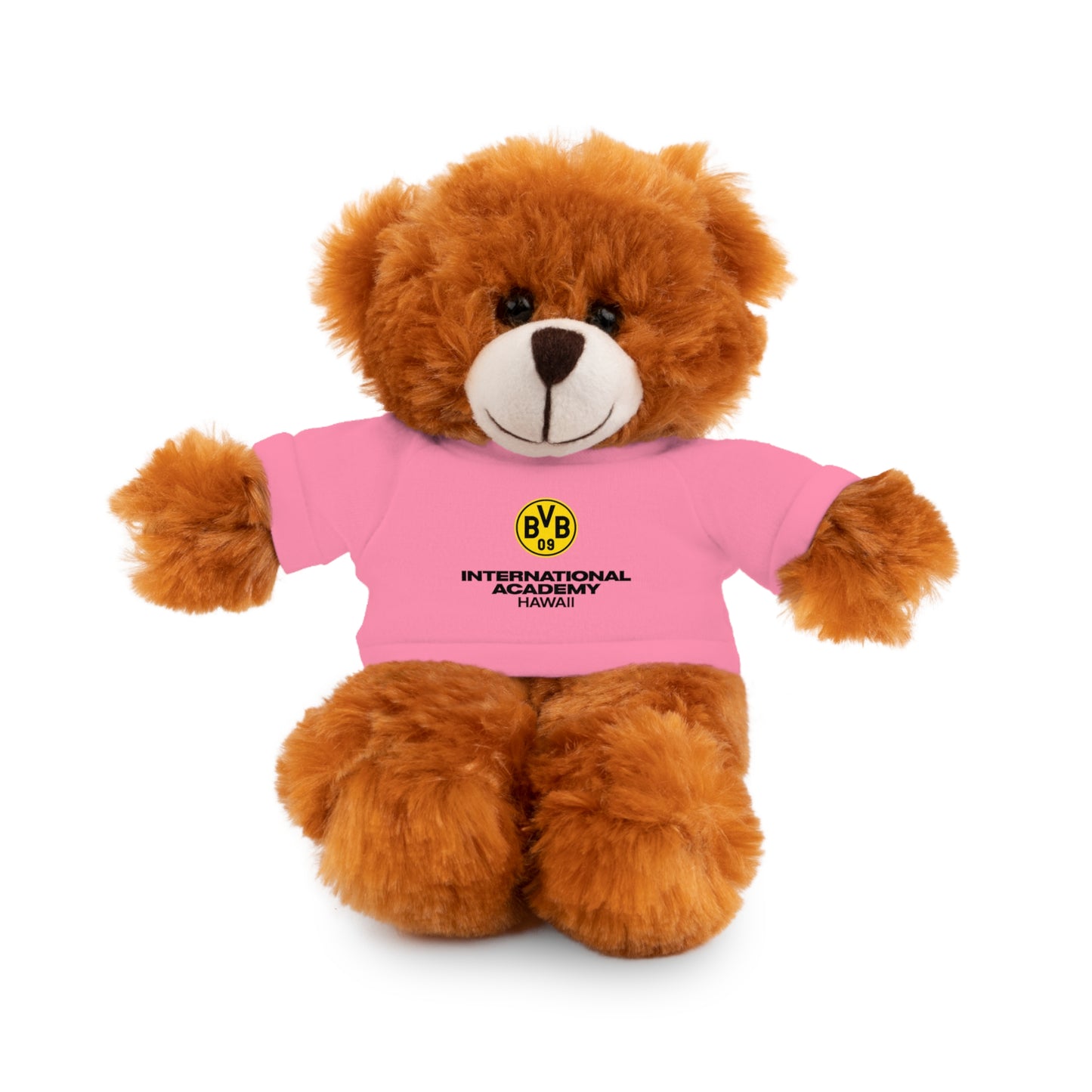 Customizable Stuffed Animal - International Academy Bear