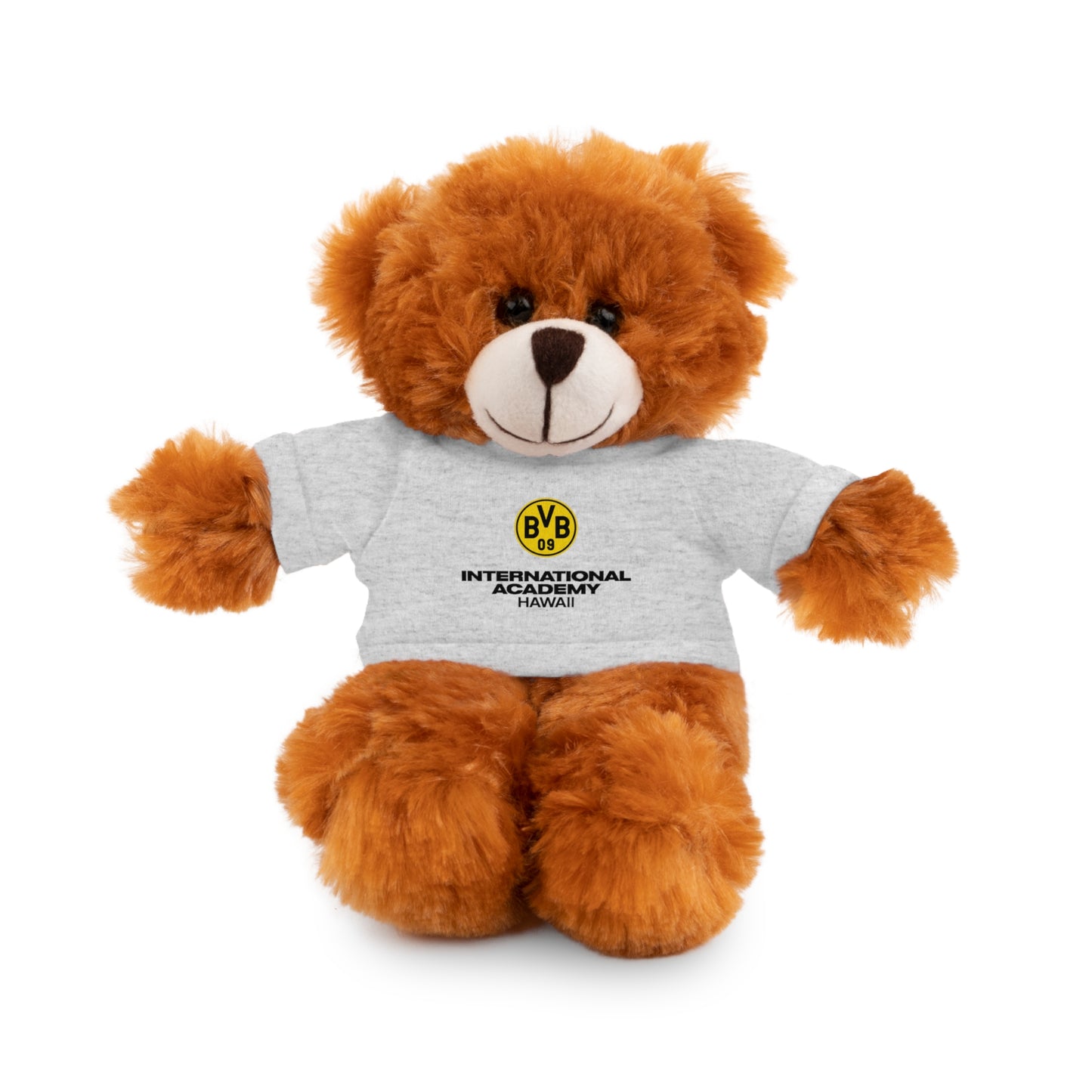 Customizable Stuffed Animal - International Academy Bear