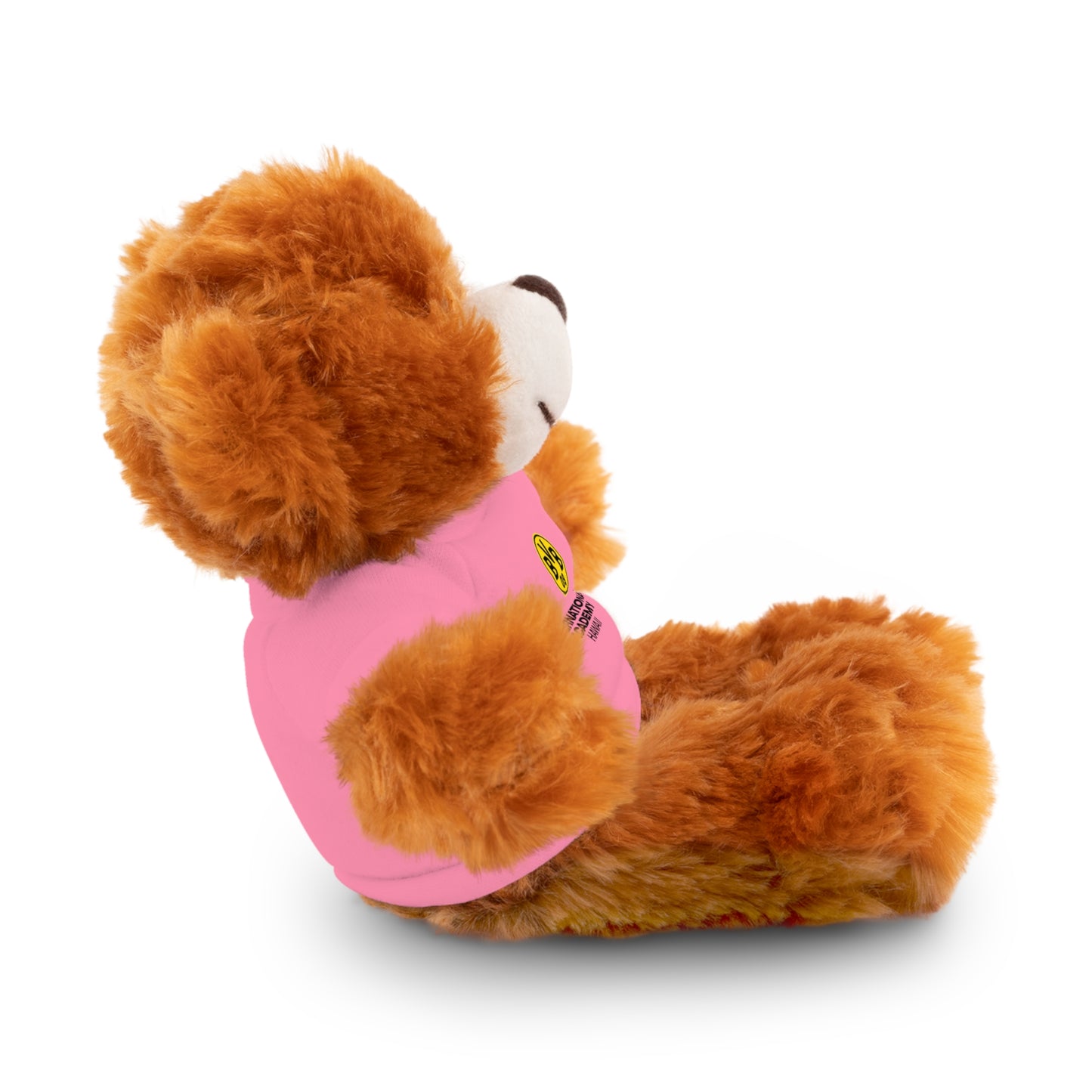 Customizable Stuffed Animal - International Academy Bear