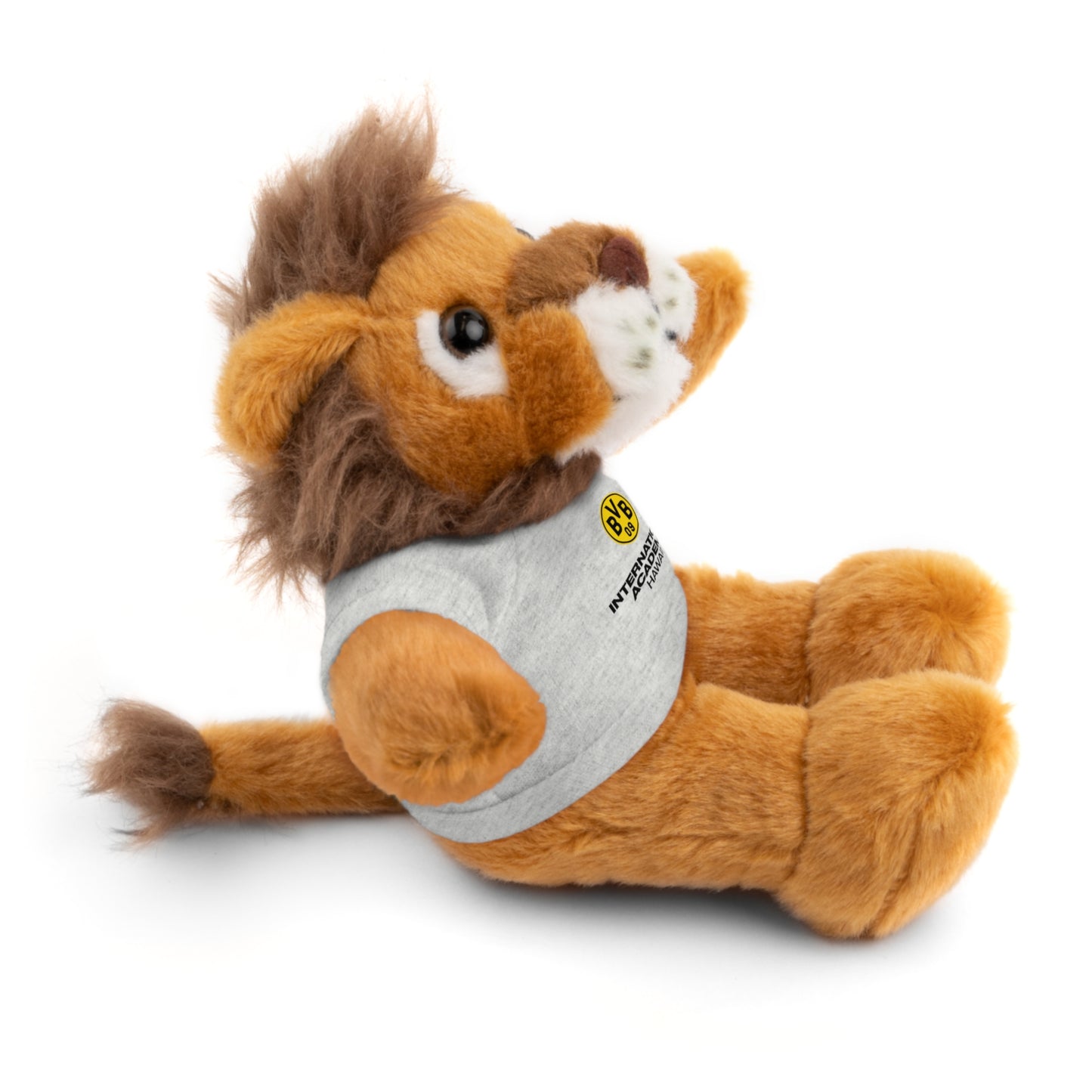 Customizable Stuffed Animal - International Academy Bear