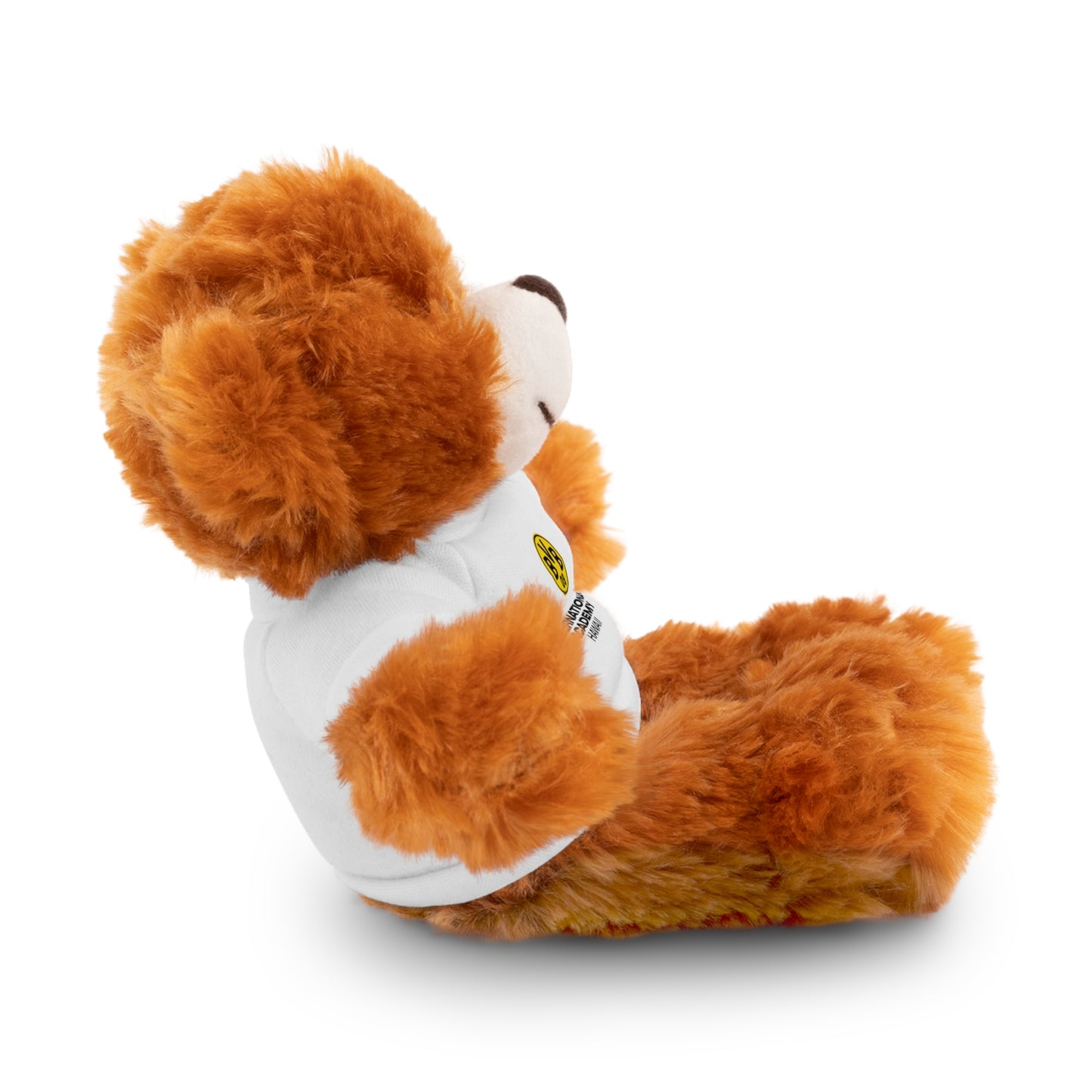 Customizable Stuffed Animal - International Academy Bear