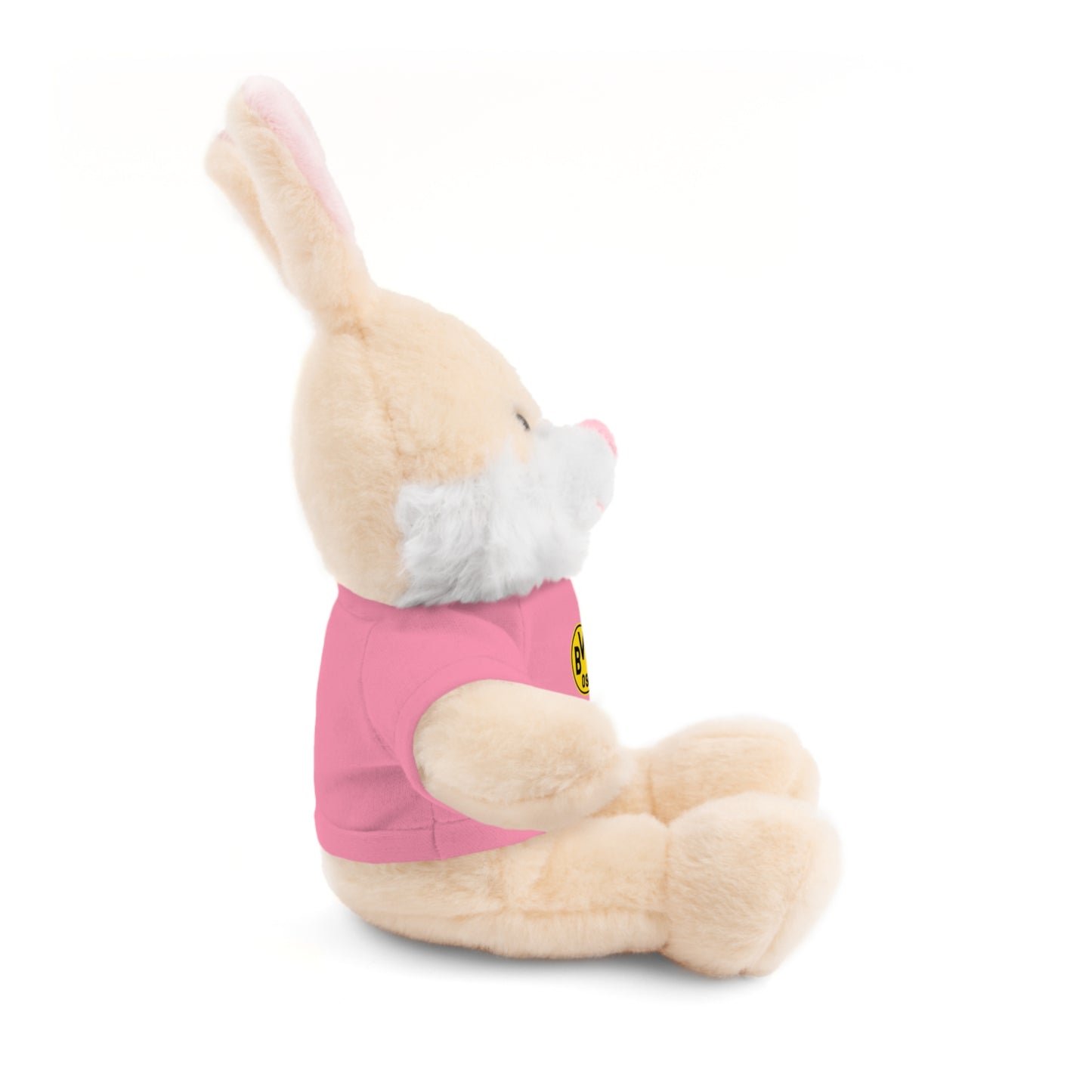 Customizable Stuffed Animal - International Academy Bear