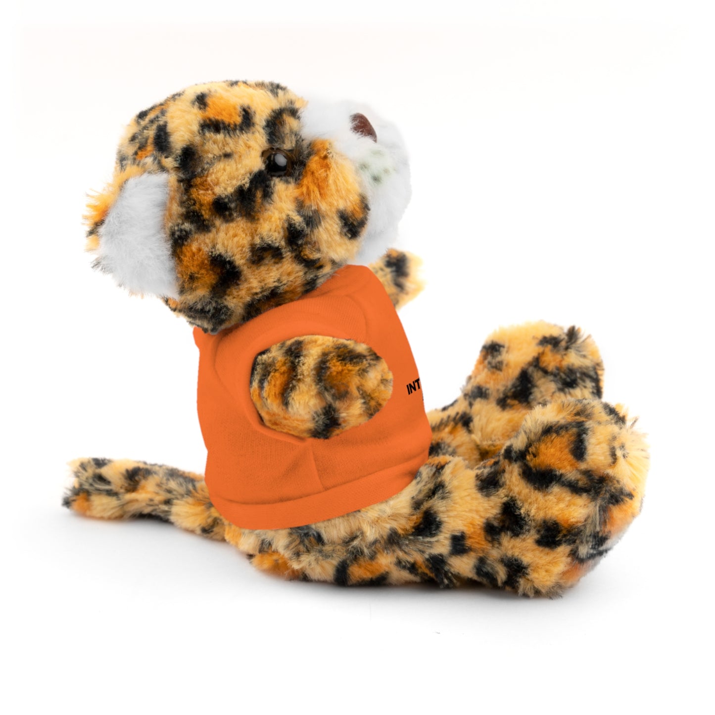 Customizable Stuffed Animal - International Academy Bear