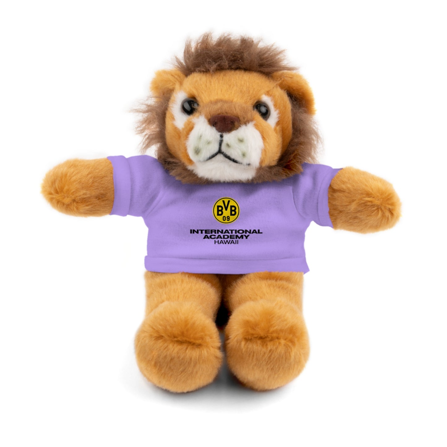 Customizable Stuffed Animal - International Academy Bear