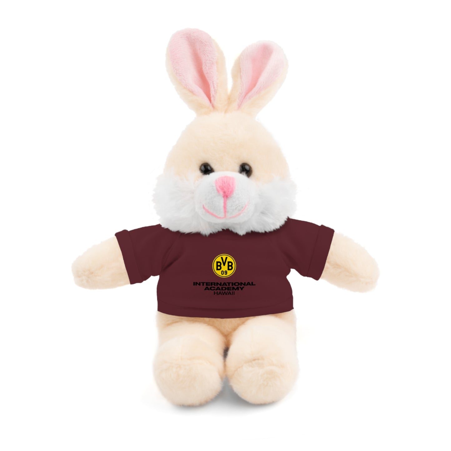 Customizable Stuffed Animal - International Academy Bear