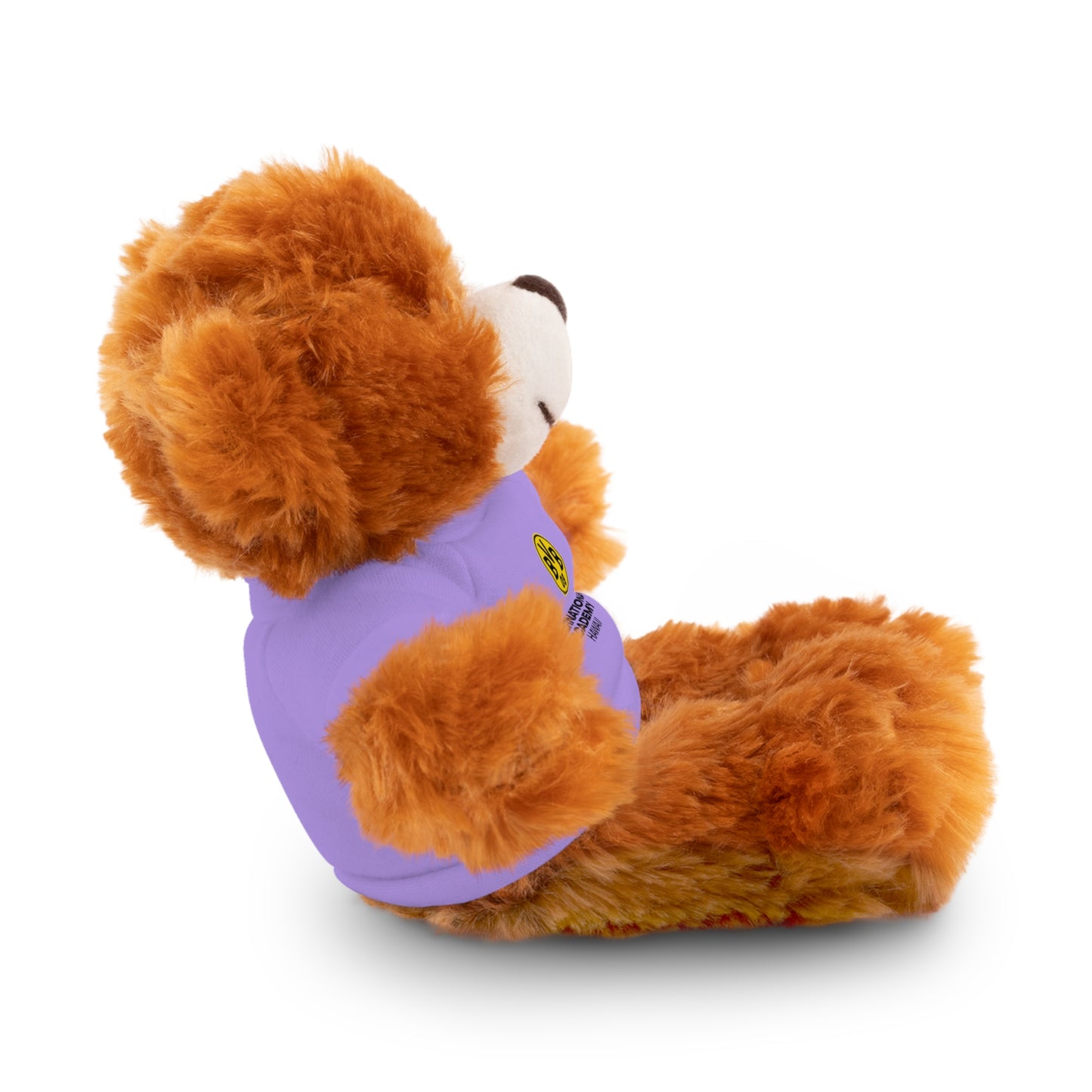 Customizable Stuffed Animal - International Academy Bear