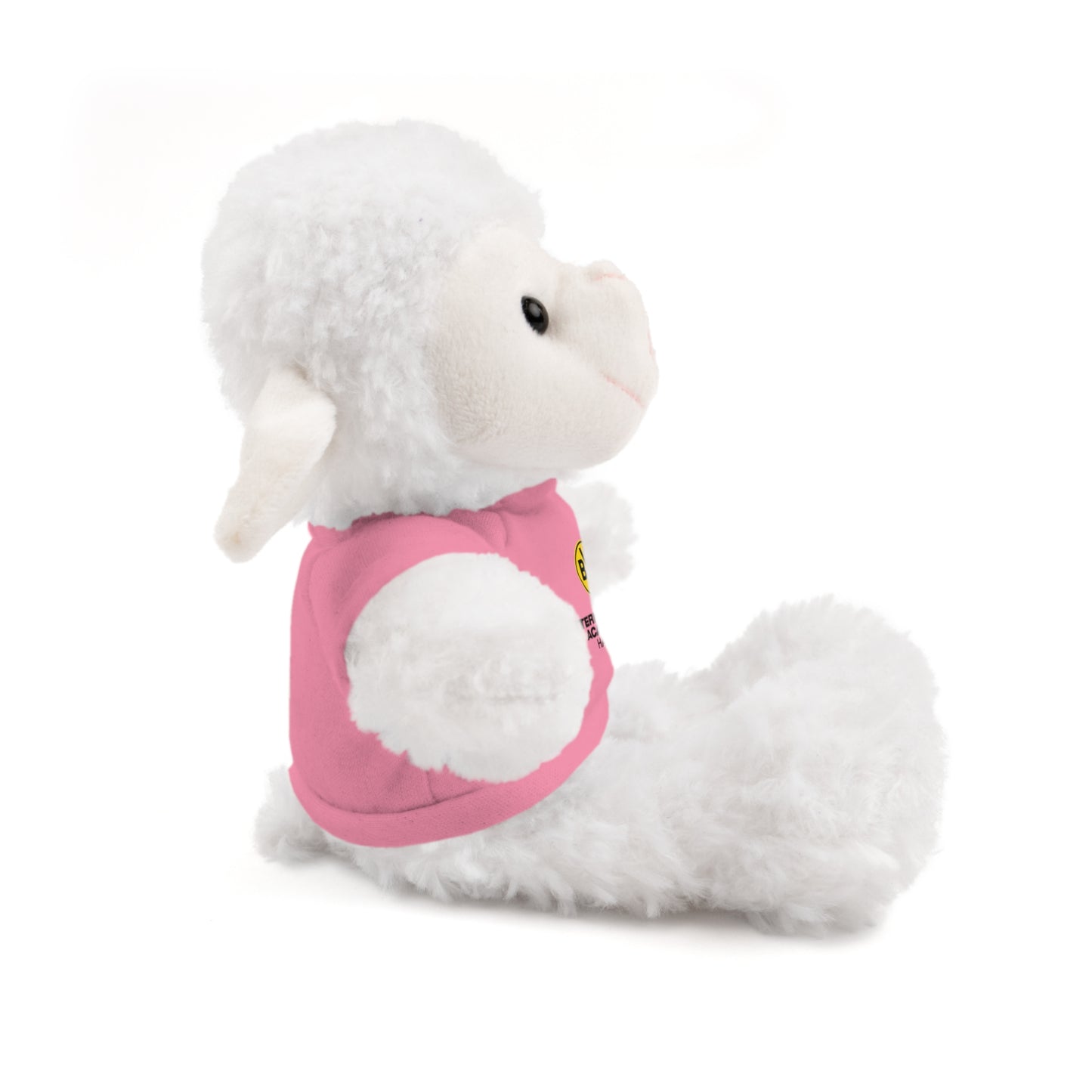 Customizable Stuffed Animal - International Academy Bear