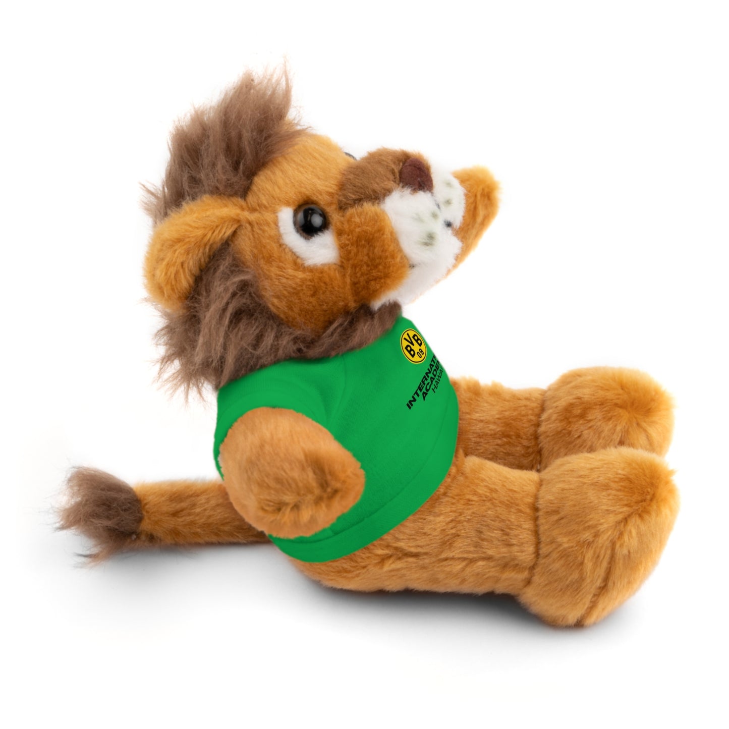 Customizable Stuffed Animal - International Academy Bear