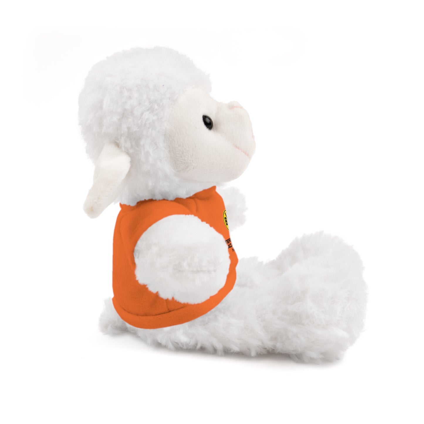 Customizable Stuffed Animal - International Academy Bear