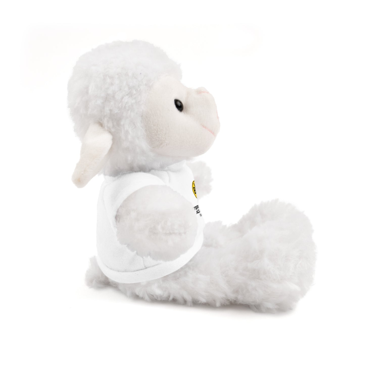 Customizable Stuffed Animal - International Academy Bear