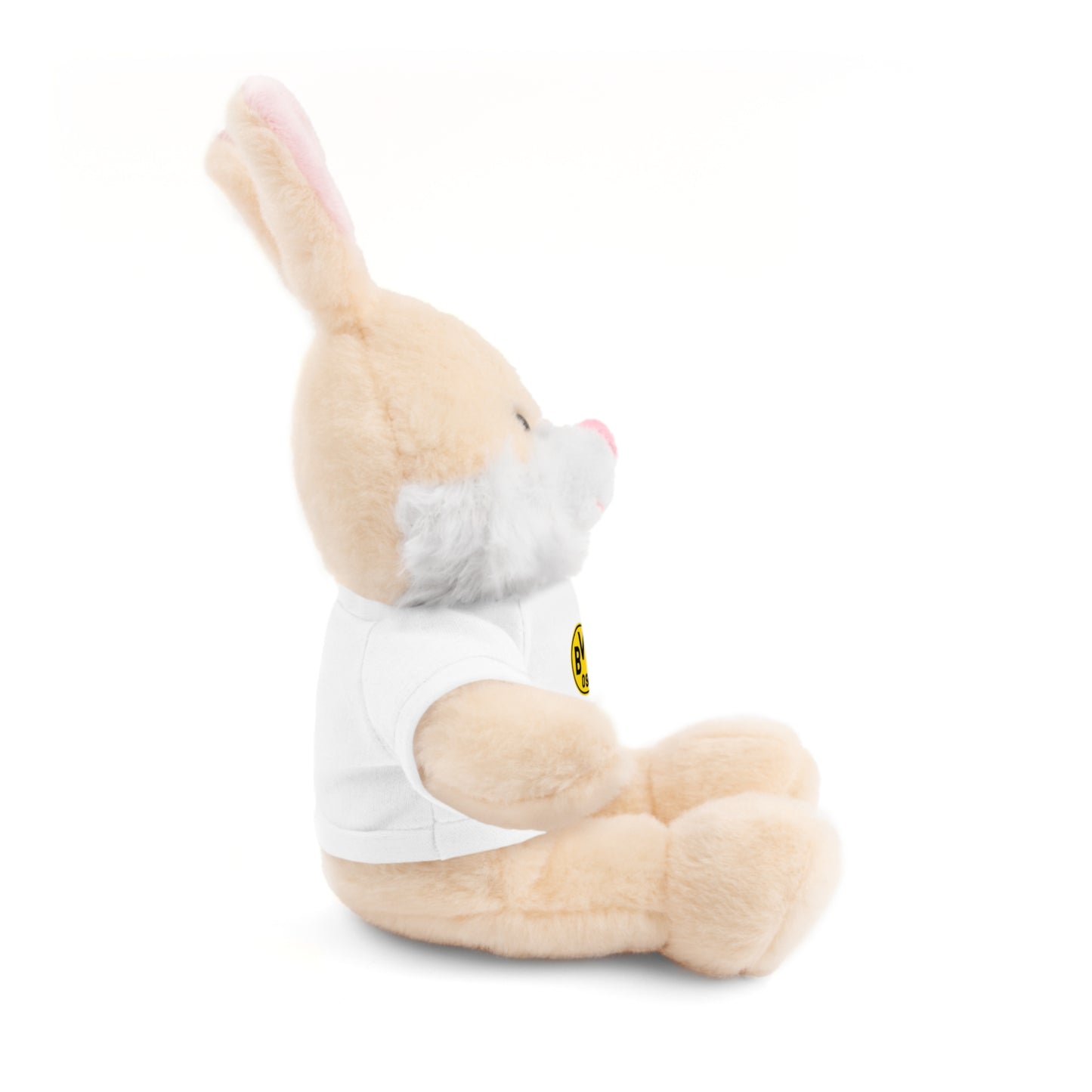 Customizable Stuffed Animal - International Academy Bear