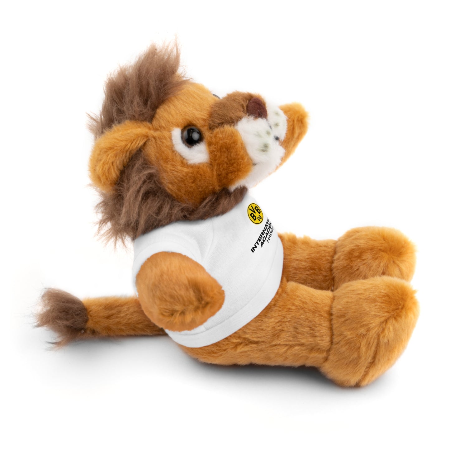 Customizable Stuffed Animal - International Academy Bear