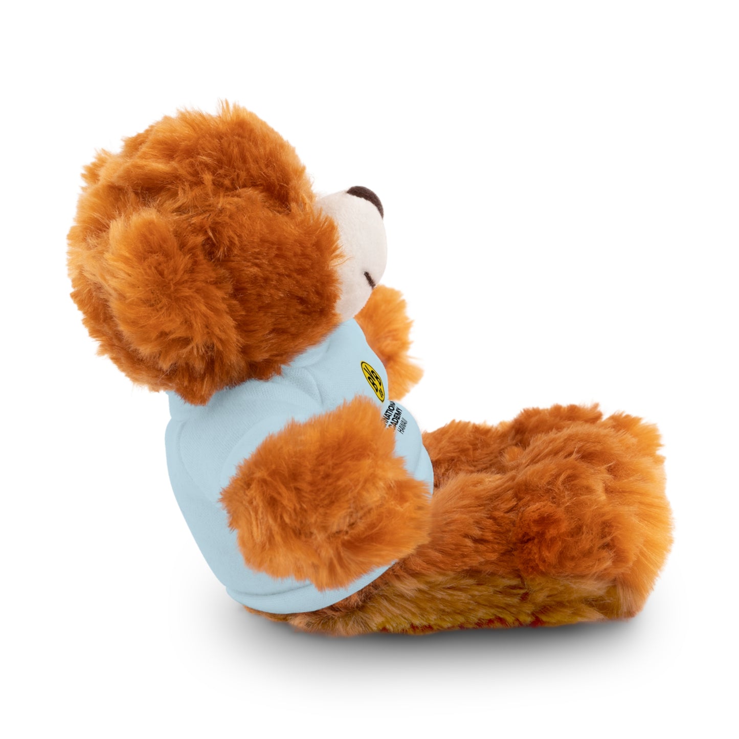 Customizable Stuffed Animal - International Academy Bear