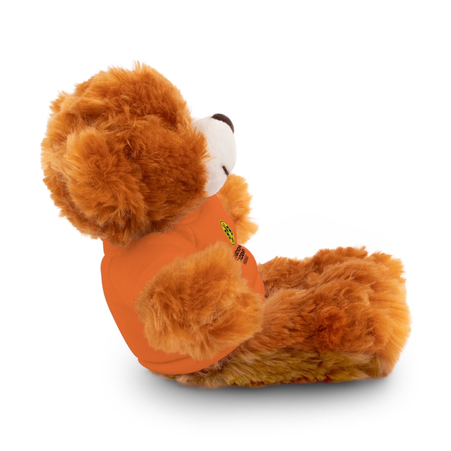 Customizable Stuffed Animal - International Academy Bear