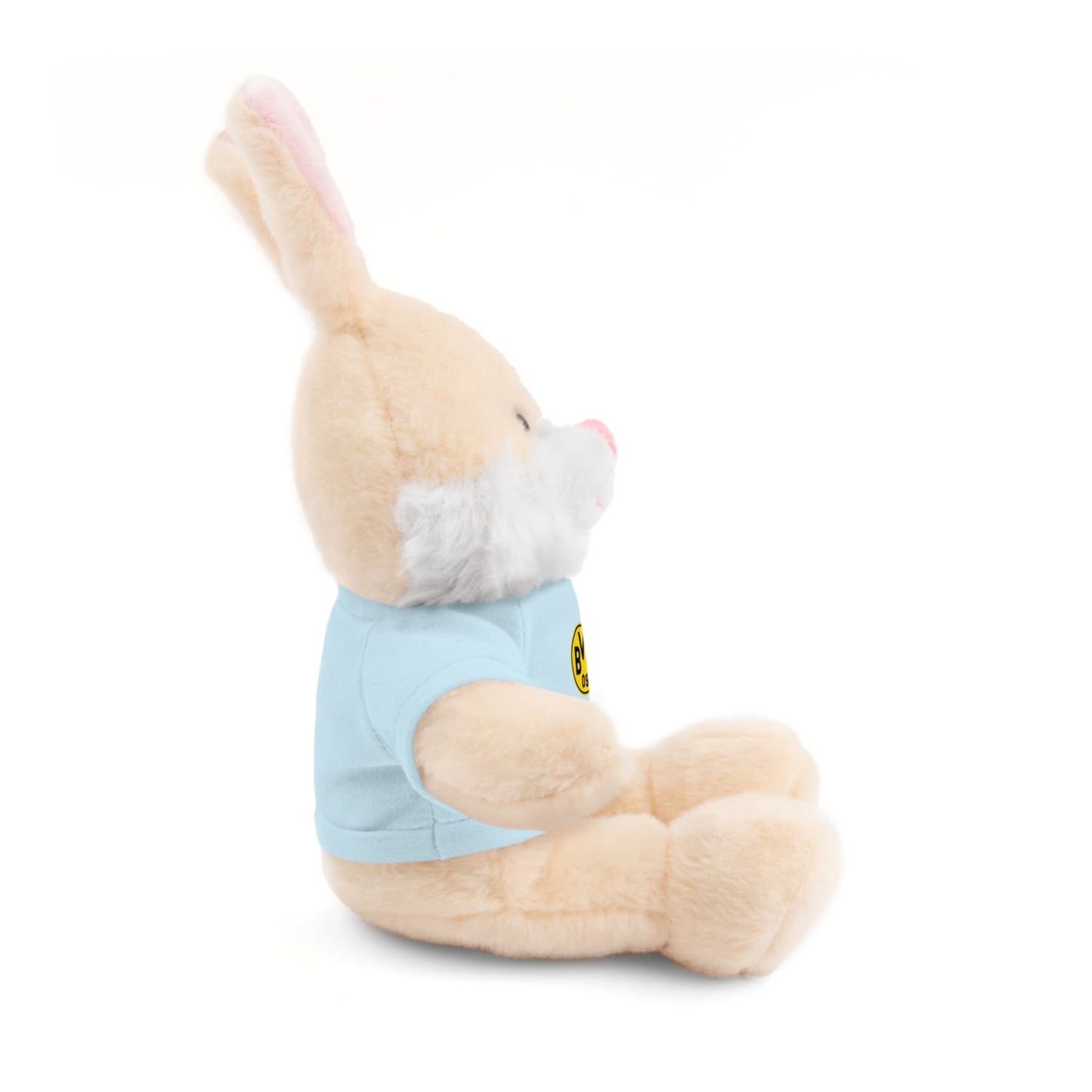 Customizable Stuffed Animal - International Academy Bear