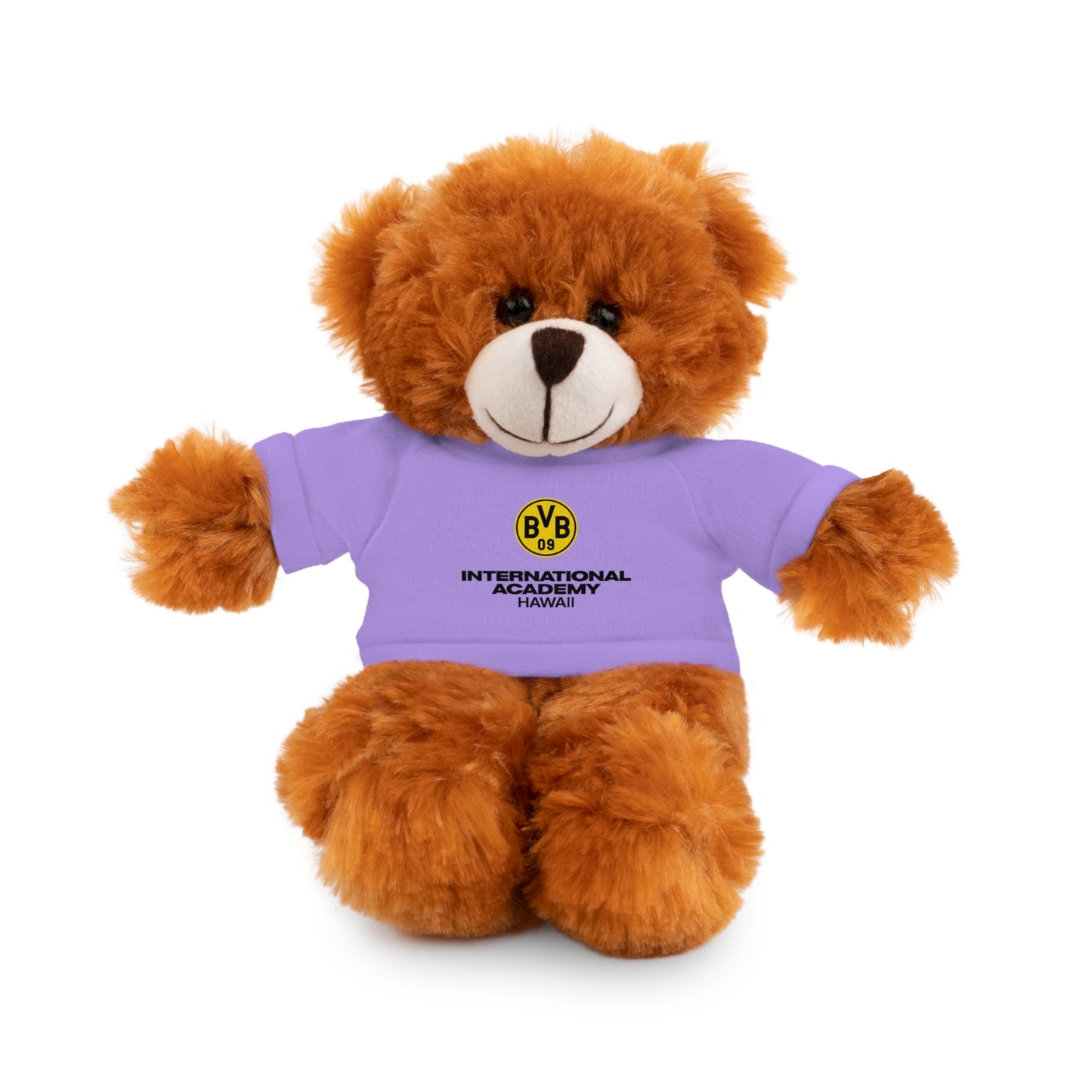 Customizable Stuffed Animal - International Academy Bear