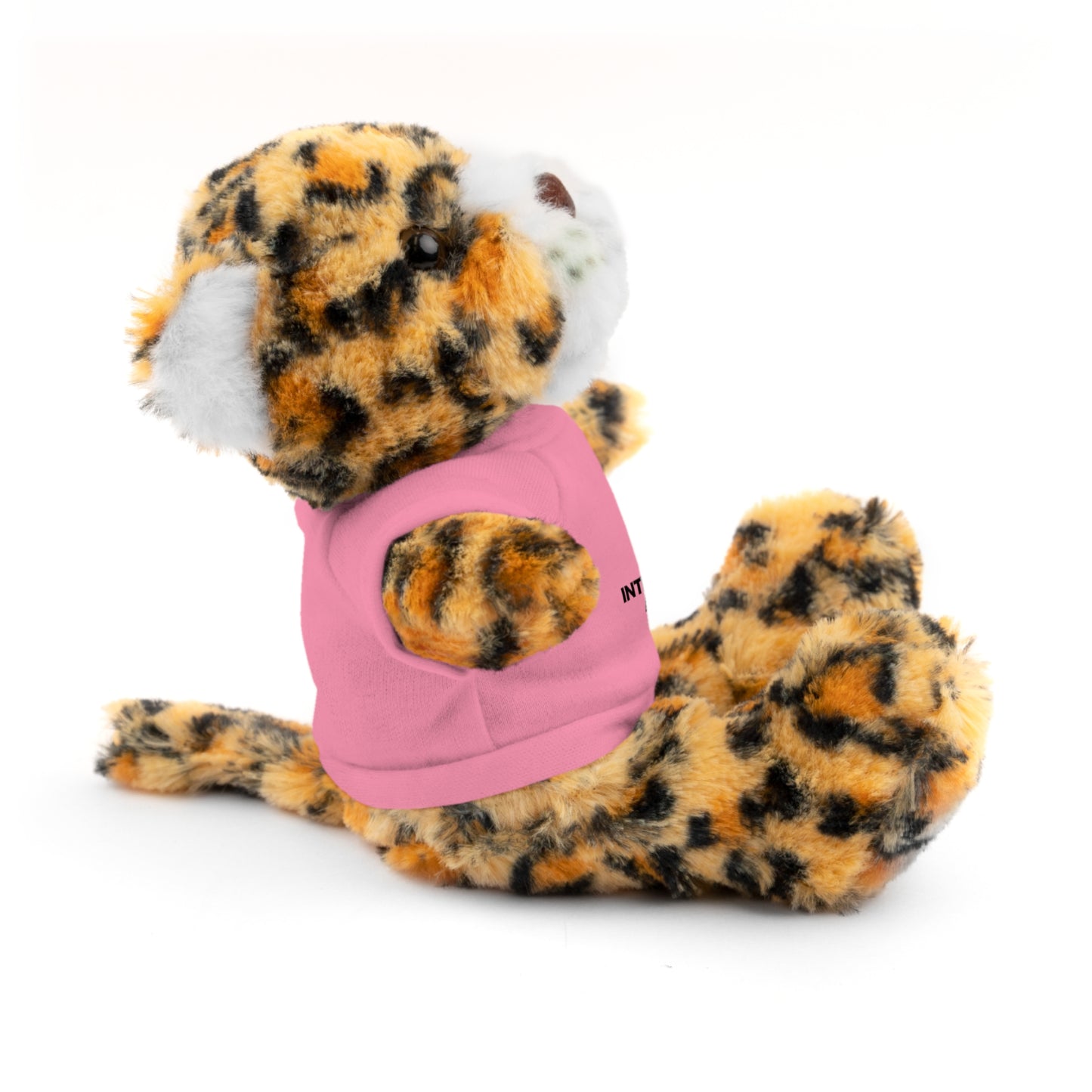 Customizable Stuffed Animal - International Academy Bear