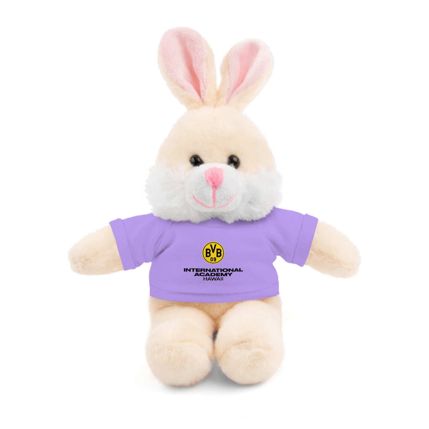 Customizable Stuffed Animal - International Academy Bear