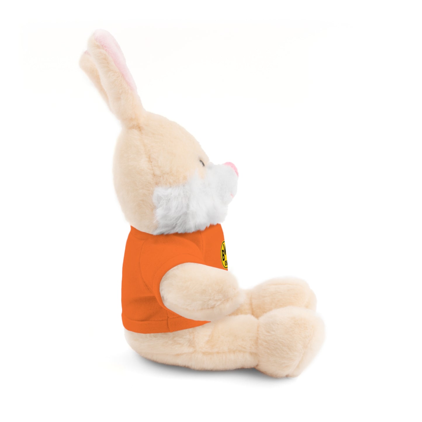 Customizable Stuffed Animal - International Academy Bear